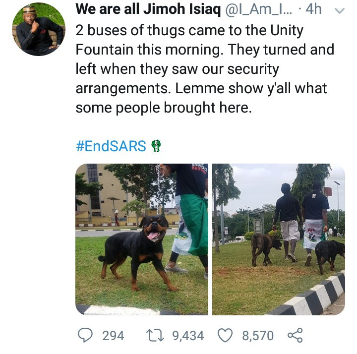 Thugs allegedly back down after Abuja #EndSARS protesters brought fierce dogs to protect them
